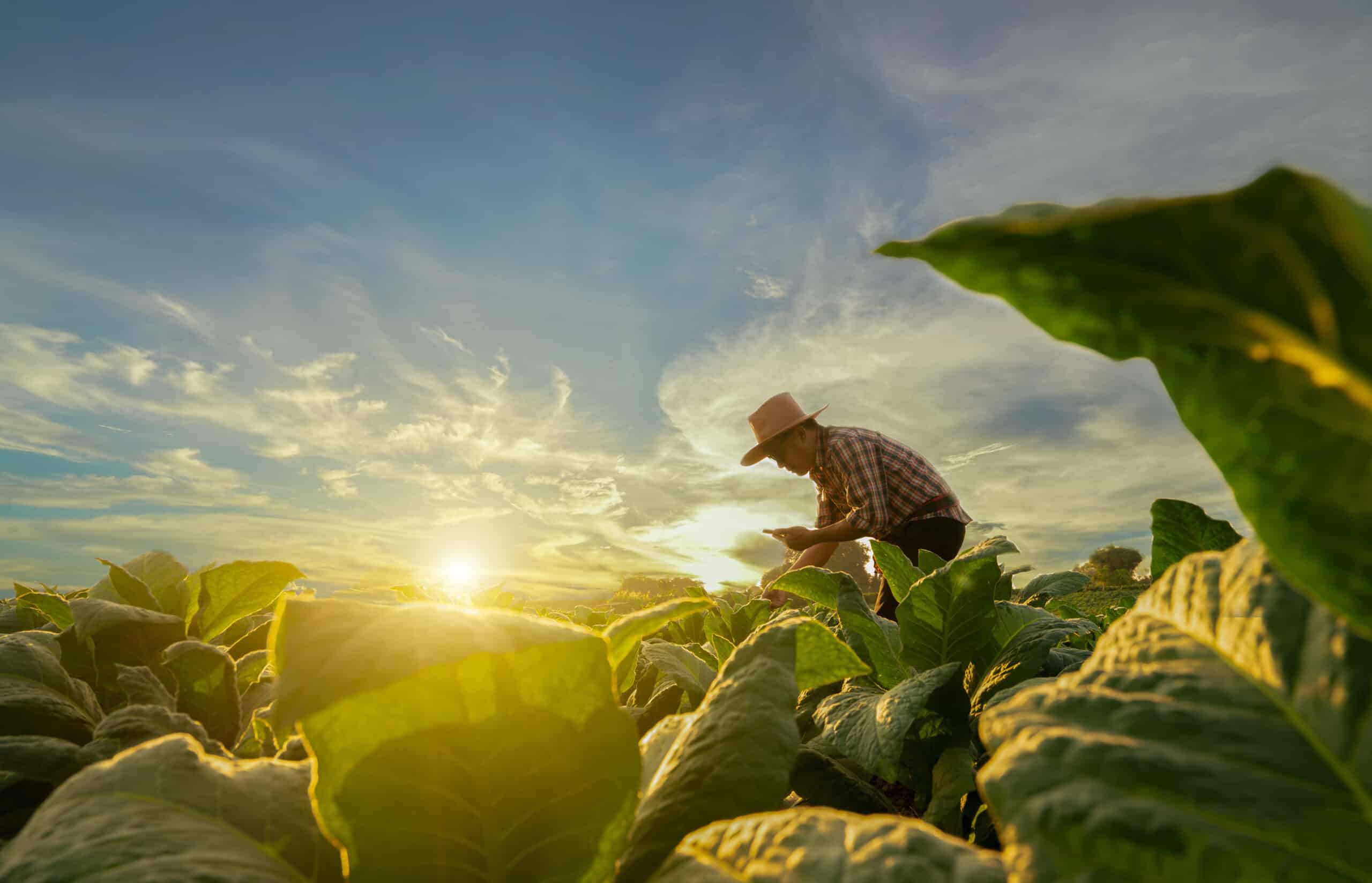 PPE Requirements for Farmers